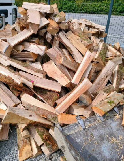 Brennholz in 33 cm großen Stücken - Laubholzmischung (Eiche, Hainbuche, Buche, Esche, Ahorn)